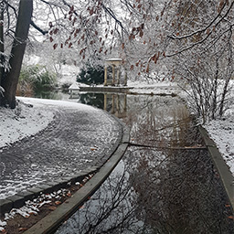 Winter