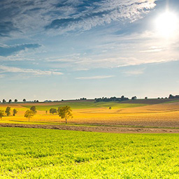 Sommer