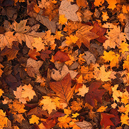 Herbst